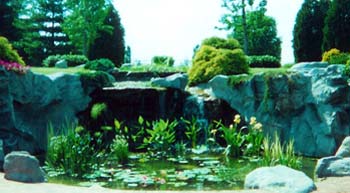 Photo of a biologically weed controlled pond