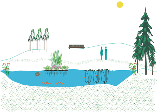 Drawing of Floating Island