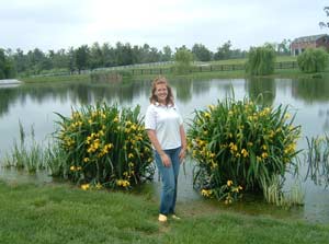 Plant Edgings on Pond